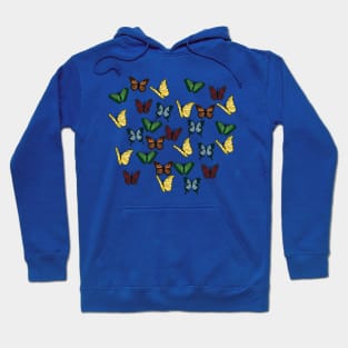 Red, Orange, Yellow, Green, and Blue Butterflies Hoodie